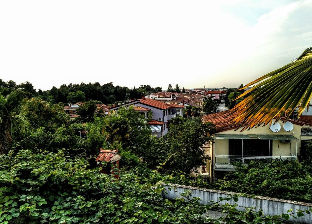 דירות פורץ Apartman Maslina מראה חיצוני תמונה