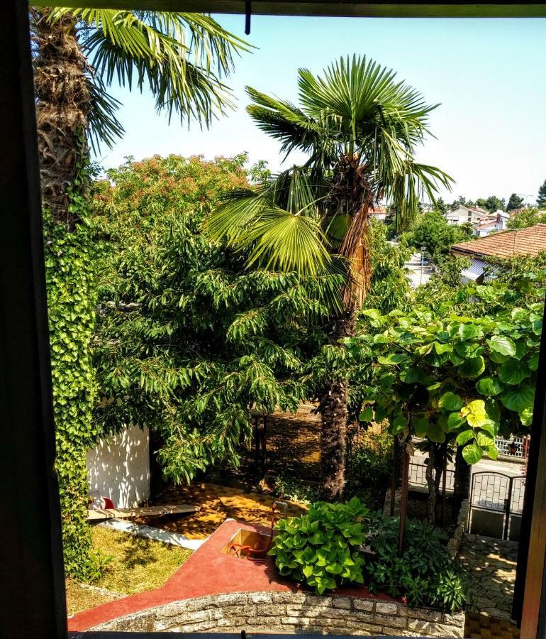 דירות פורץ Apartman Maslina מראה חיצוני תמונה